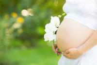 Enceinte 2